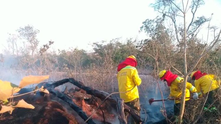 Alerta en Santa Cruz: 10 incendios forestales siguen activos en seis municipios