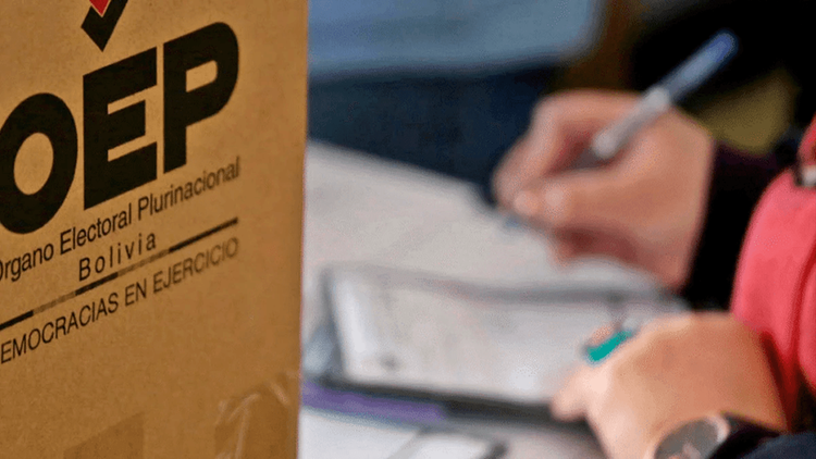 OEA destaca participación en elecciones y advierte fallas normativas