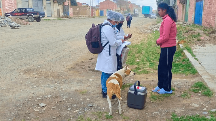 intensifican campaña de vacunación contra el sarampión en El Alto