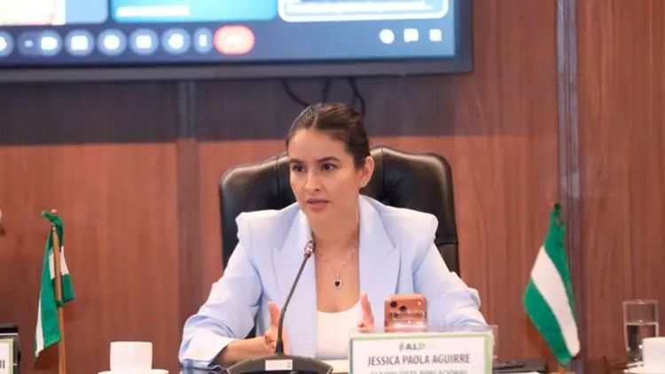 Aguirre denuncia intento de modificar ley para cambiar la directiva de la ALD