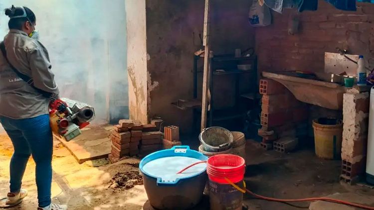 Cinco departamentos reportan casos de chikungunya; Santa Cruz concentra la mayoría