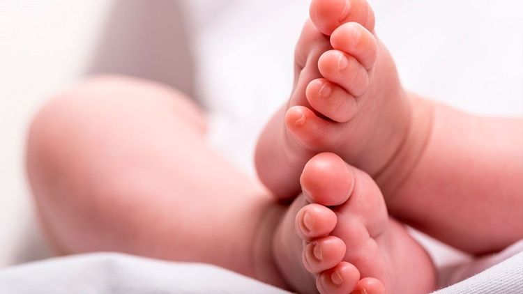 Mujer halla mellizos abandonados en El Alto además busca adoptarlos