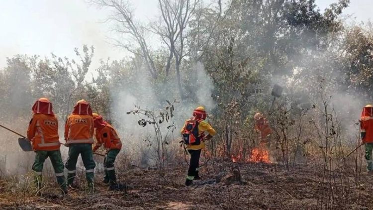 Gobernación moviliza a 76 personas por emergencias de incendios forestales en seis municipios cruceños