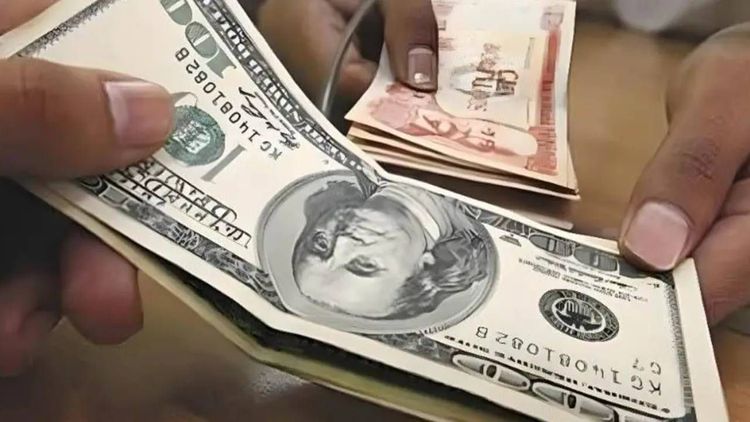 ¿A cuánto se cotiza el dólar del mercado paralelo este 17 de julio en Bolivia?