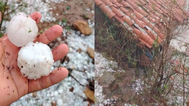 Granizada daña cultivos y mata animales en tres comunidades de Padilla