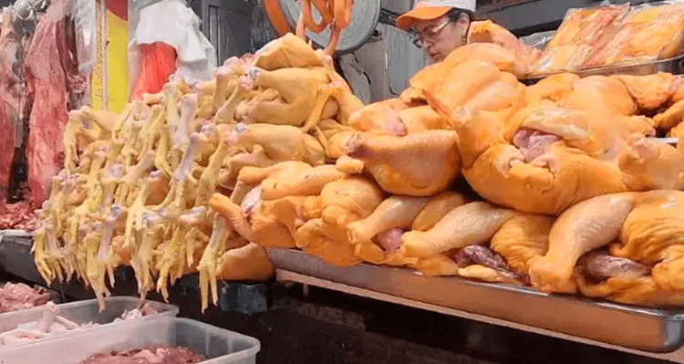 Avicultores advierten que bloqueos rompen el ciclo productivo del pollo y ponen en riesgo a pequeños productores