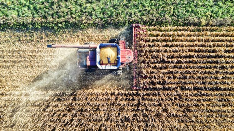 Productores bloquean San Pablo por falta de diésel y alertan riesgo para la siembra