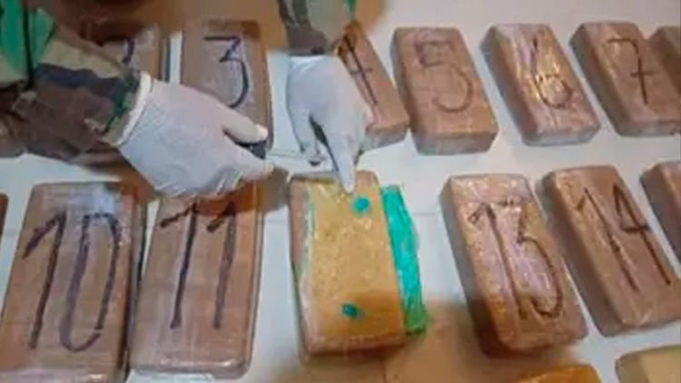 UMOPAR incauta más de 42 kilos de cocaína base en operativos en Tarija y Cochabamba