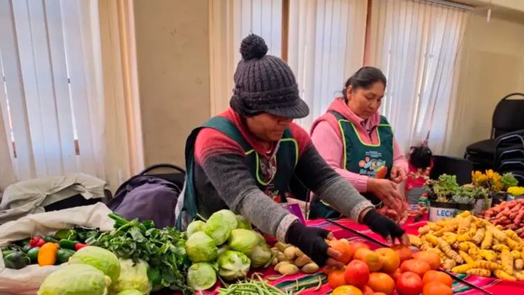 Ley de Alivio Tributario beneficiará a más de 82 mil pequeños contribuyentes con deudas menores a Bs 10 millones