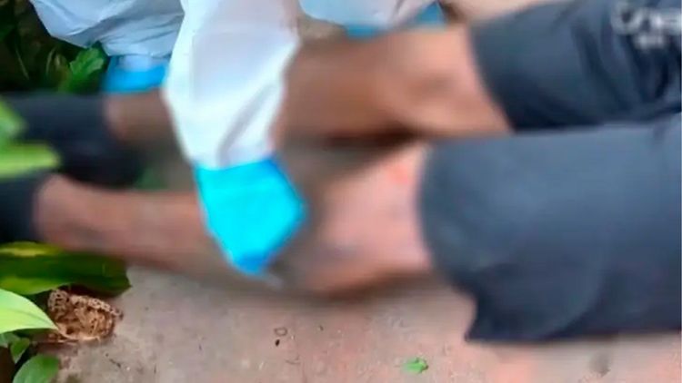 Investigan muerte de joven que cayó de un segundo piso en Coroico