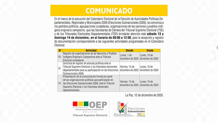 TSE habilita atención este fin de semana para recepción de documentación electoral