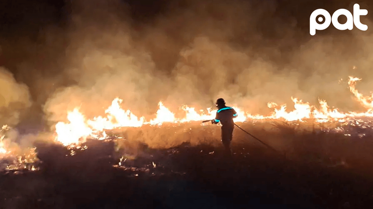 Incendio en Parque Otuquis Eleva a 323 Mil Hectáreas la Superficie Afectada