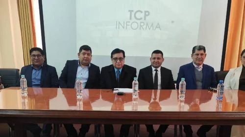 Presidente del TCP: “Este tribunal va a garantizar el calendario que ...